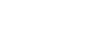 Insights-Partner-Logo-White